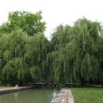 Turismo fluvial en Francia