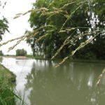 Turismo fluvial en Francia