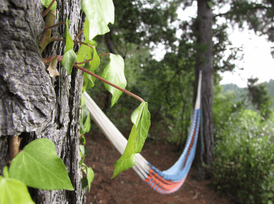 Camping Endai en Costa Vasca