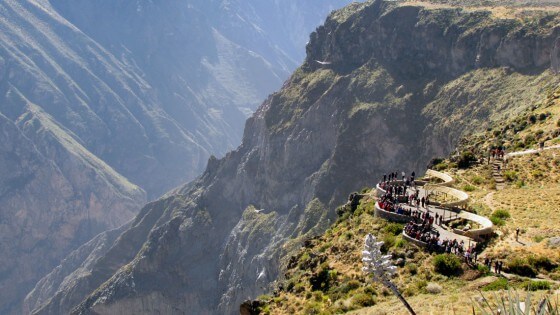 Mirador del cóndor - Perú, Cañon del Colca condor7-mirador