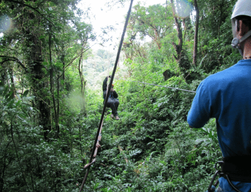 El Bosque Nuboso Monteverde en tirolina