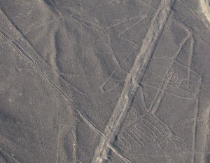 Nazca ballena