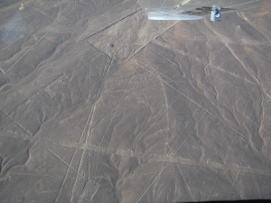 Nazca cóndor